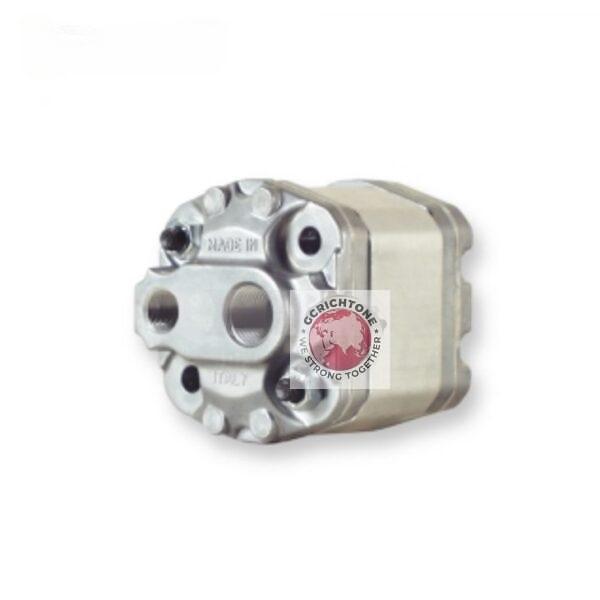 Hydraulic Gear Pump MARZOCCHI 0.25 D 18 0.25 D 24 0.25 D 30 0.25 D 36 0.25 D 48 0.25 D 60 0.5 D 0,50 0.5 D 0,75 0.5 D 1,00 0.5 D 1 30 0.5 D 1,60 0.5 D 2,00