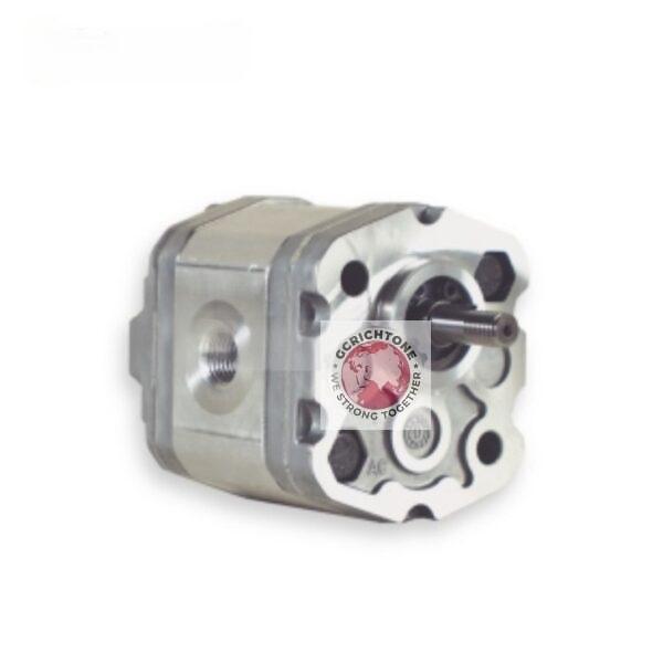 Hydraulic Gear Pump MARZOCCHI 0.25 D 18 0.25 D 24 0.25 D 30 0.25 D 36 0.25 D 48 0.25 D 60 0.5 D 0,50 0.5 D 0,75 0.5 D 1,00 0.5 D 1 30 0.5 D 1,60 0.5 D 2,00